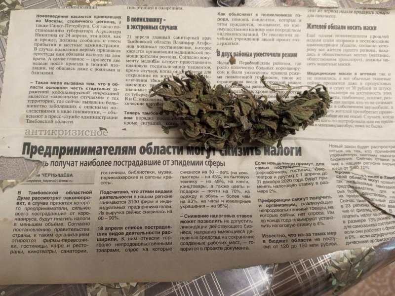 Около двухсот граммов марихуаны найдено и изъято у жителя Инжавинского округа